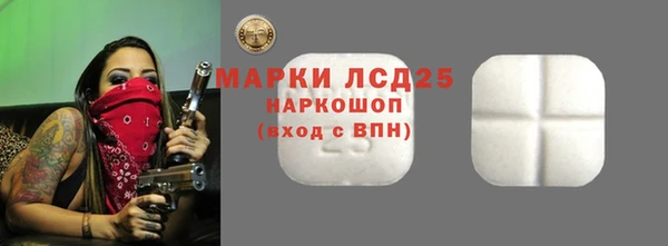 apvp Богданович